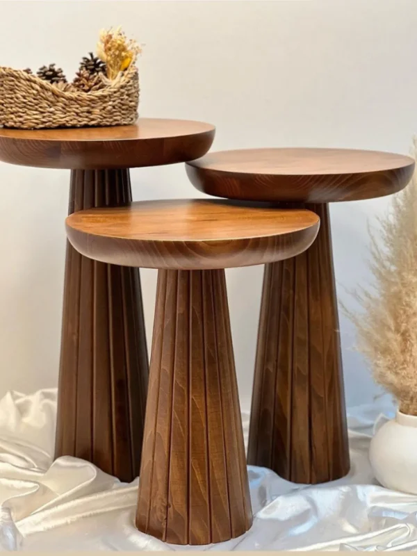 mantar sehpa ürün görseli 1